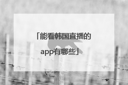 能看韩国直播的app有哪些