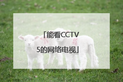 能看CCTV5的网络电视