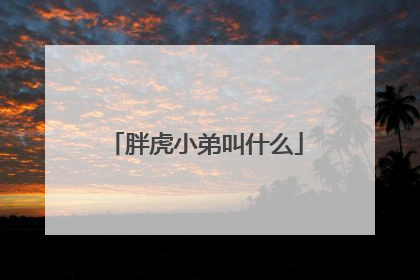 胖虎小弟叫什么