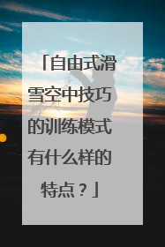 自由式滑雪空中技巧的训练模式有什么样的特点？