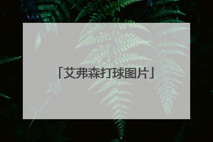 艾弗森打球图片