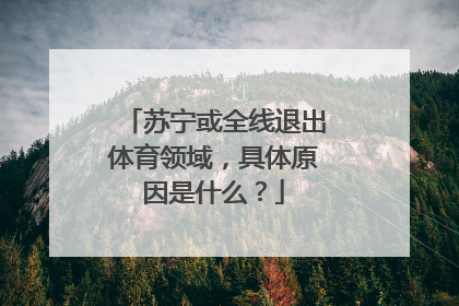 苏宁或全线退出体育领域，具体原因是什么？