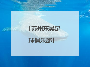 「苏州东吴足球俱乐部」苏州东吴足球俱乐部外援