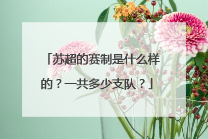 苏超的赛制是什么样的？一共多少支队？