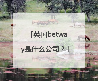 英国betway是什么公司？