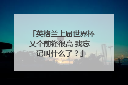 英格兰上届世界杯又个前锋很高 我忘记叫什么了？