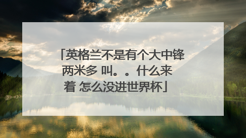 英格兰不是有个大中锋 两米多 叫。。什么来着 怎么没进世界杯