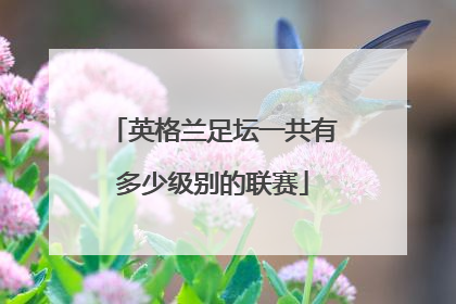 英格兰足坛一共有多少级别的联赛