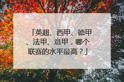 英超、西甲、德甲、法甲、意甲，哪个联赛的水平最高？