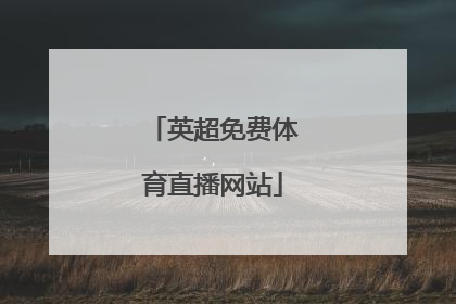 「英超免费体育直播网站」433体育英超直播