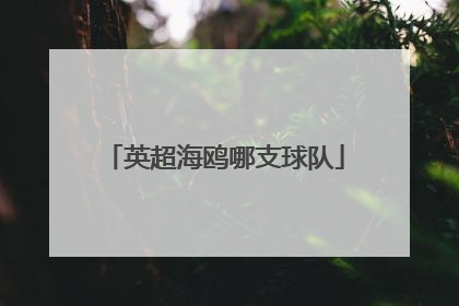 英超海鸥哪支球队