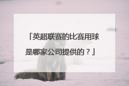 英超联赛的比赛用球是哪家公司提供的？