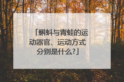 蝌蚪与青蛙的运动器官、运动方式分别是什么?