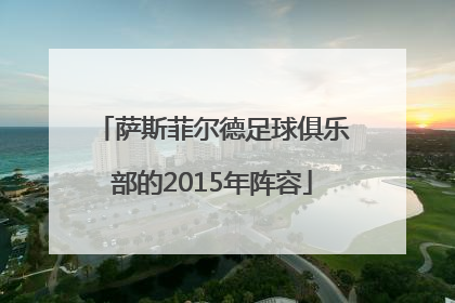 萨斯菲尔德足球俱乐部的2015年阵容