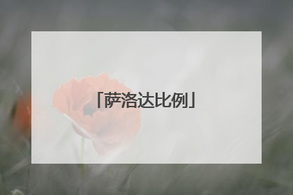 萨洛达比例