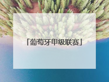 「葡萄牙甲级联赛」葡萄牙超级联赛冠军