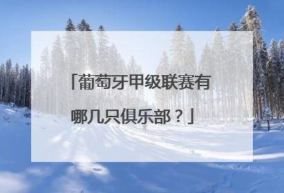 葡萄牙甲级联赛有哪几只俱乐部？