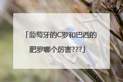 葡萄牙的C罗和巴西的肥罗哪个厉害???