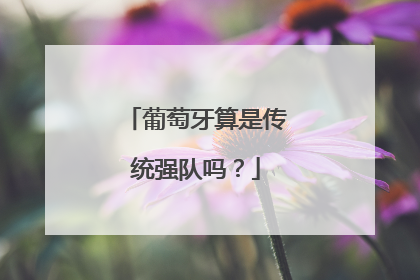 葡萄牙算是传统强队吗？