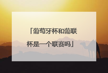 葡萄牙杯和葡联杯是一个联赛吗