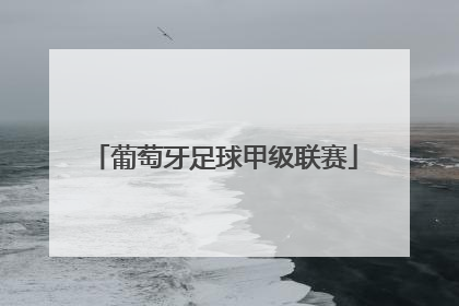 「葡萄牙足球甲级联赛」葡萄牙足球甲级联赛积分雪缘网