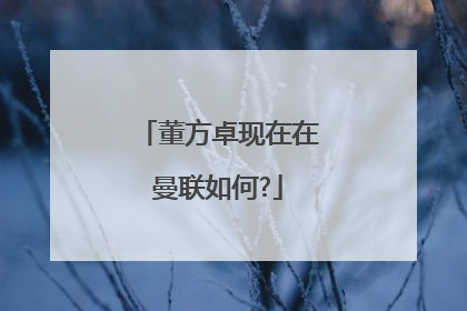 董方卓现在在曼联如何?