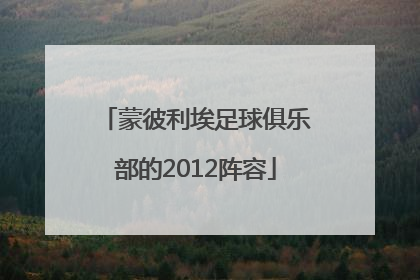 蒙彼利埃足球俱乐部的2012阵容