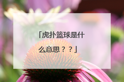 虎扑篮球是什么意思？？