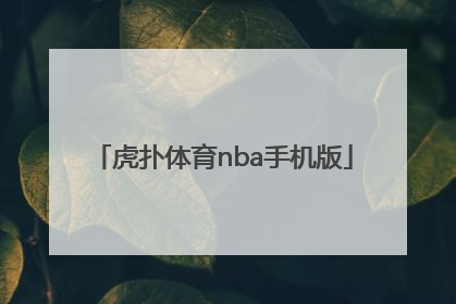 「虎扑体育nba手机版」虎扑体育手机官网首页