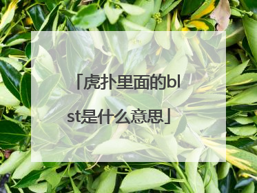 虎扑里面的blst是什么意思