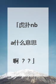 虎扑nba什么意思啊 ？？