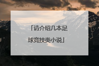 请介绍几本足球竞技类小说