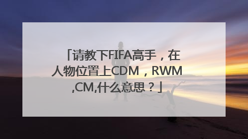 请教下FIFA高手，在人物位置上CDM，RWM,CM,什么意思？