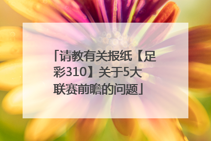 请教有关报纸【足彩310】关于5大联赛前瞻的问题