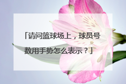 请问篮球场上，球员号数用手势怎么表示？