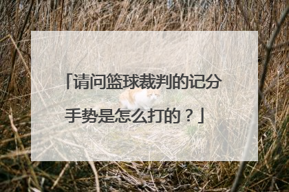 请问篮球裁判的记分手势是怎么打的？