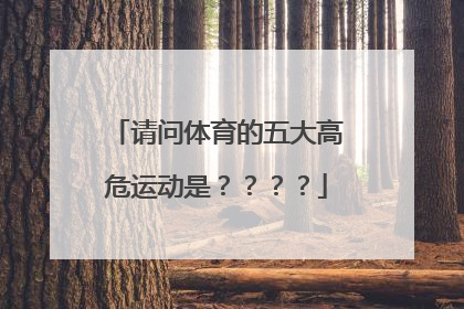 请问体育的五大高危运动是？？？？