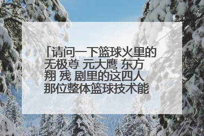 请问一下篮球火里的无极尊 元大鹰 东方翔 残 剧里的这四人 那位整体篮球技术能力最全面？