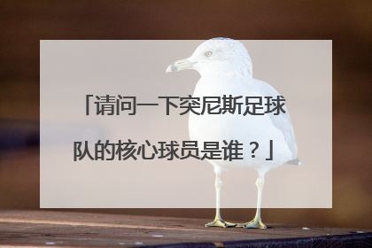 请问一下突尼斯足球队的核心球员是谁？