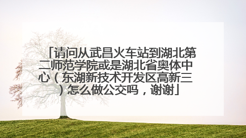 请问从武昌火车站到湖北第二师范学院或是湖北省奥体中心（东湖新技术开发区高新三）怎么做公交吗，谢谢