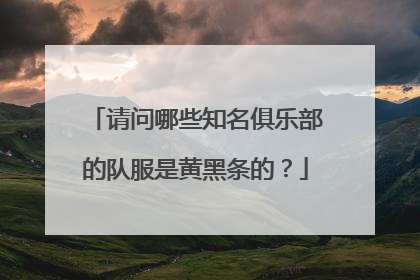 请问哪些知名俱乐部的队服是黄黑条的？