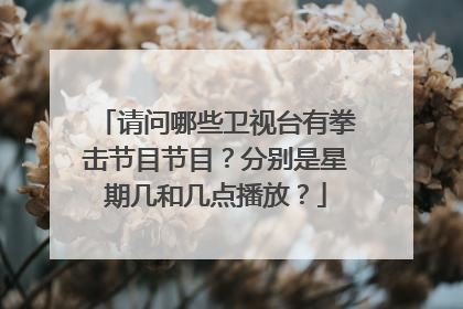 请问哪些卫视台有拳击节目节目？分别是星期几和几点播放？