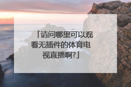 请问哪里可以观看无插件的体育电视直播啊?