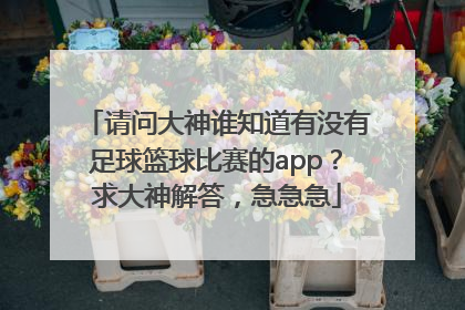 请问大神谁知道有没有足球篮球比赛的app？求大神解答，急急急