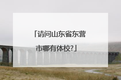 请问山东省东营市哪有体校?