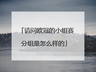 请问欧冠的小组赛分组是怎么样的