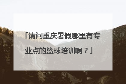 请问重庆暑假哪里有专业点的篮球培训啊？