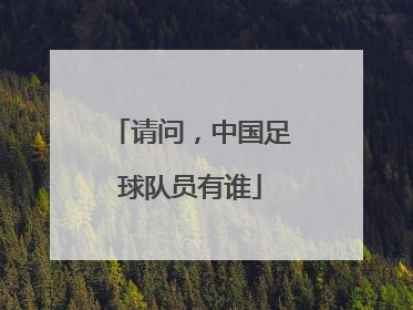 请问，中国足球队员有谁