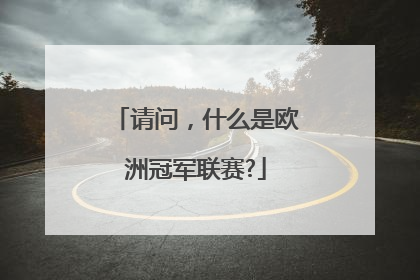 请问，什么是欧洲冠军联赛?