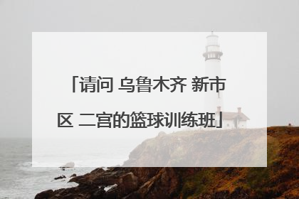 请问 乌鲁木齐 新市区 二宫的篮球训练班